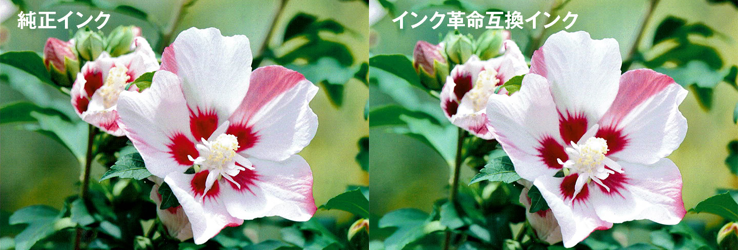 純正インクと互換インクの印刷比較