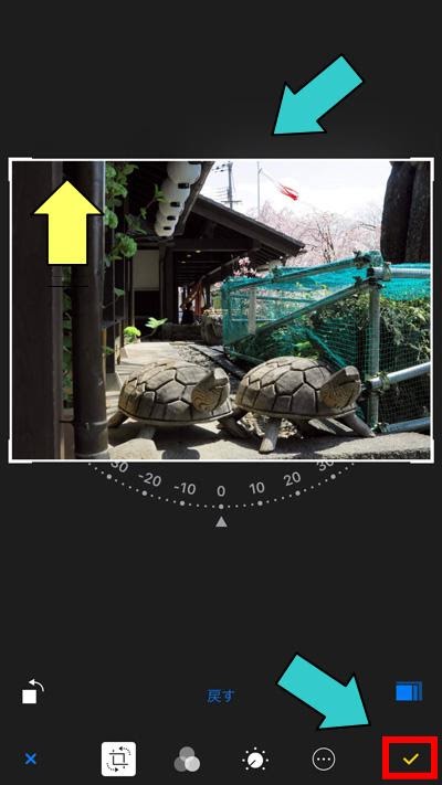 写真アプリ